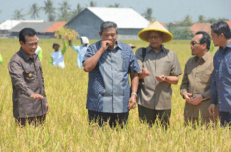 RAPBN 2014, Pemerintah Anggarkan Rp15,5 Triliun untuk Pertanian